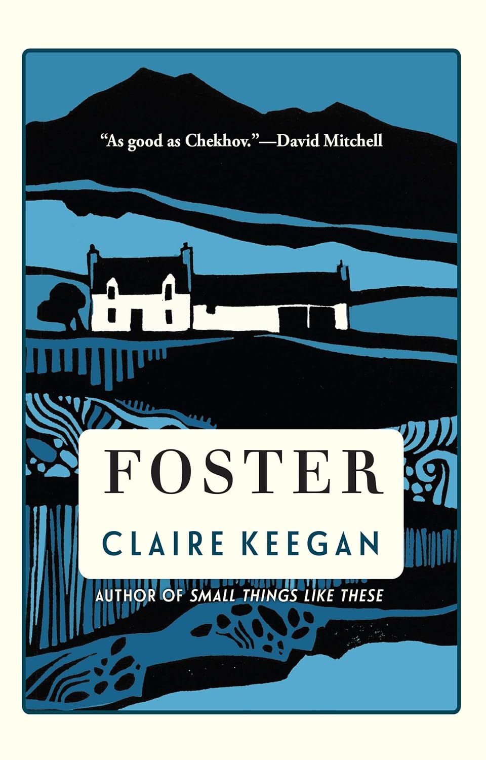 Club Meeting 12: Foster