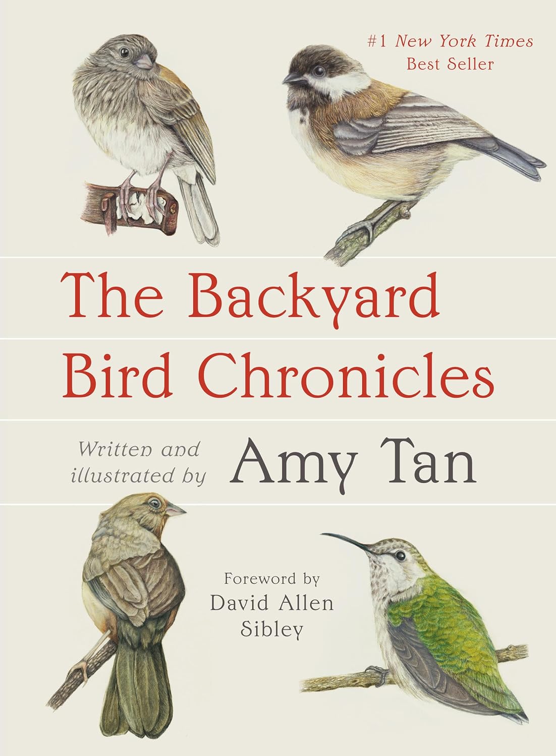 Club Meeting 20: The Backyard Bird Chronicles