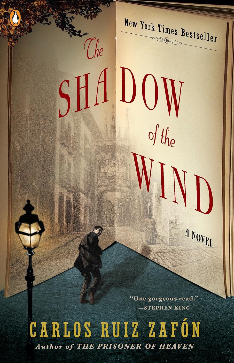 Club Meeting 1: The Shadow of the Wind